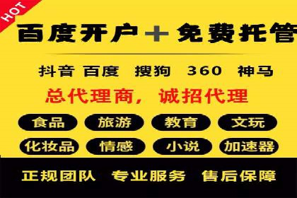 SEM服务公司助力品牌崛起案例